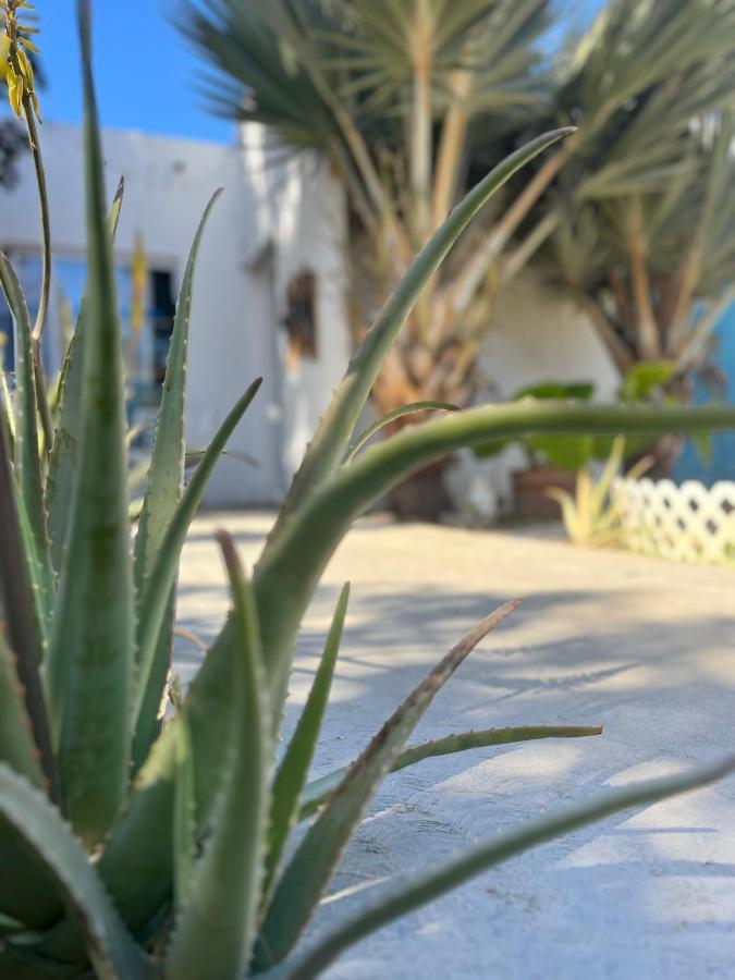 Dici Co-Living Housing Cabo San Lucas Bed and Breakfast Esterno foto