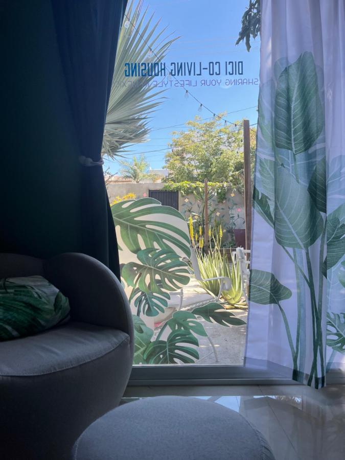 Dici Co-Living Housing Cabo San Lucas Bed and Breakfast Esterno foto